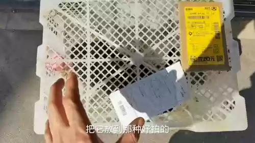 狗子五黑阵容搭配什么插图