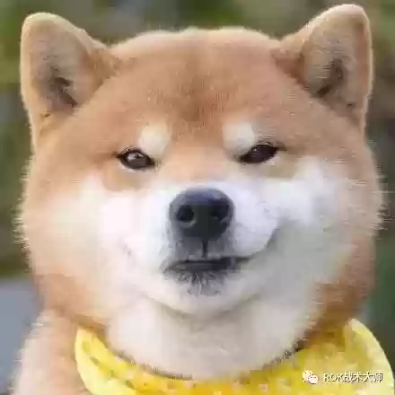 关羽阵容体系搭配什么插图2