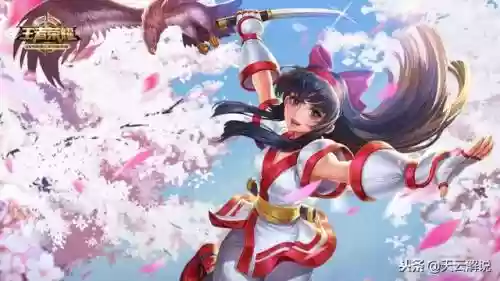 光信搭配什么阵容最好插图1