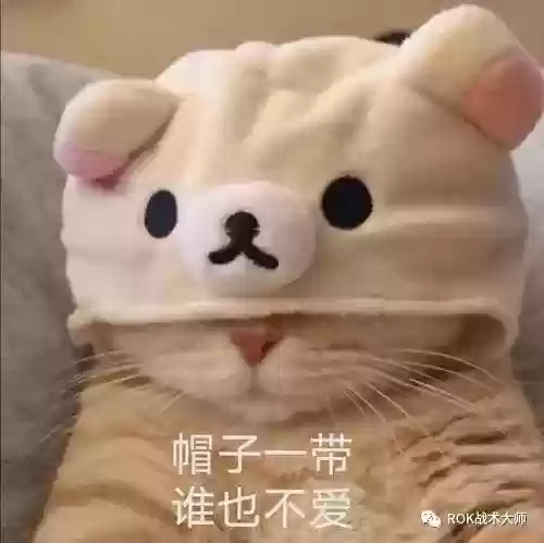 关羽阵容体系搭配什么插图60