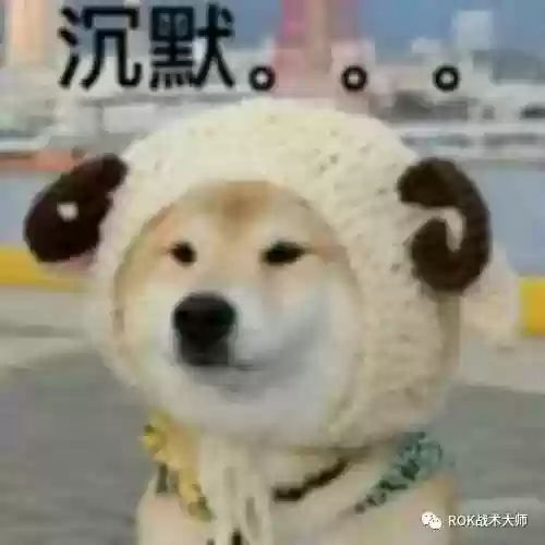 关羽阵容体系搭配什么插图47