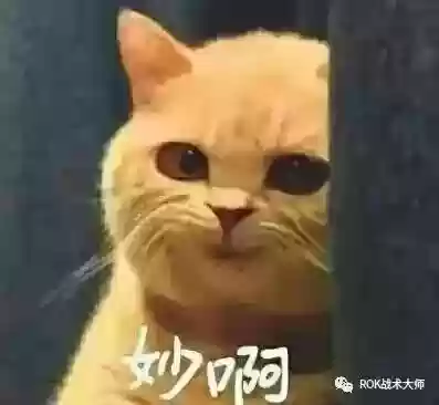 关羽阵容体系搭配什么插图22