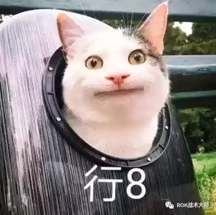 关羽阵容体系搭配什么插图43