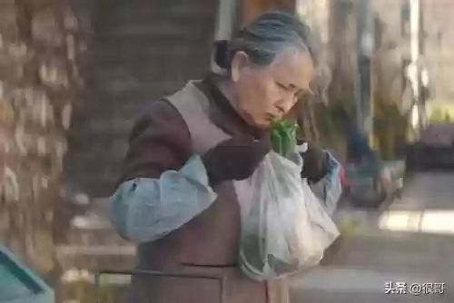 半仙解说阵容搭配插图3