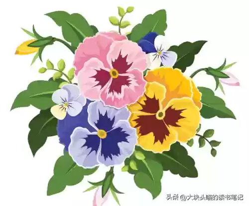 命运之子 阵容搭配插图1