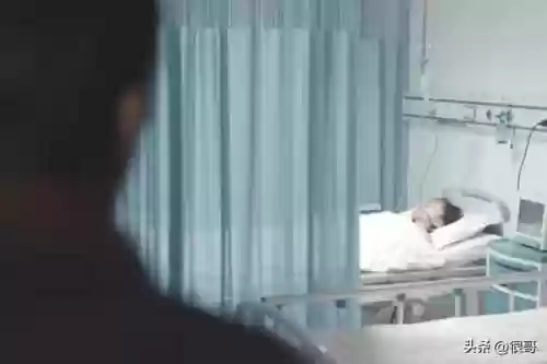 半仙解说阵容搭配插图23