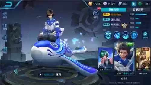 什么阵容搭配庄周插图6