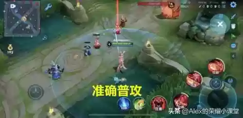 公孙离搭配阵容插图8