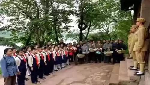 叶岚阵容搭配插图5