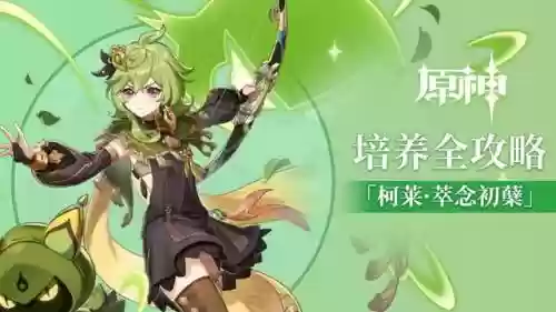 珂莱阵容搭配插图
