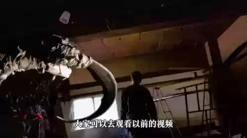 巨人法师推荐阵容搭配(云顶之弈最新法师阵容)插图2