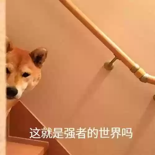 无双战舰阵容搭配攻略(无双战将平民最强阵容)插图1