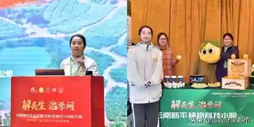 2021不知火阵容搭配(不知火平民斗技阵容)插图1