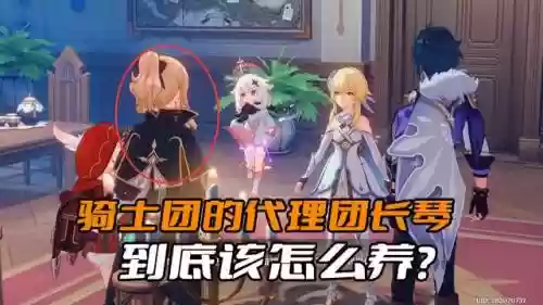 琴的阵容搭配萌新(琴平民玩家阵容)插图