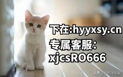 魔力回忆阵容搭配攻略图(魔力宝贝归来最强阵容)插图3