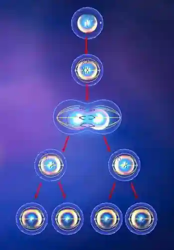 斗罗大陆30级最强阵容(斗罗大陆平民后期阵容)插图3