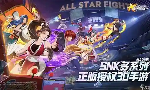明星选手阵容搭配插图