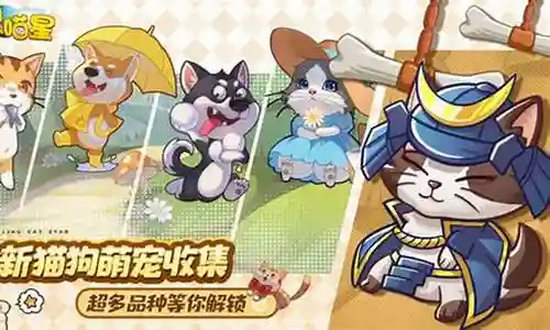 迷你狗狗阵容搭配图插图