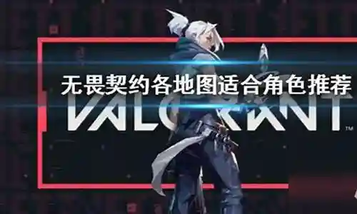无畏怎么选阵容搭配插图