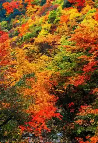 寒霜圣地 阵容(圣斗士圣地争锋最强阵容)插图24