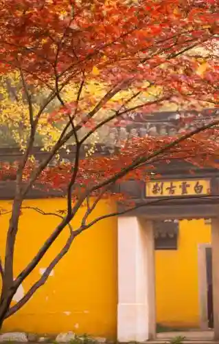 寒霜圣地 阵容(圣斗士圣地争锋最强阵容)插图6