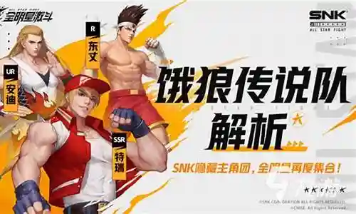 饿狼开局阵容装备搭配插图