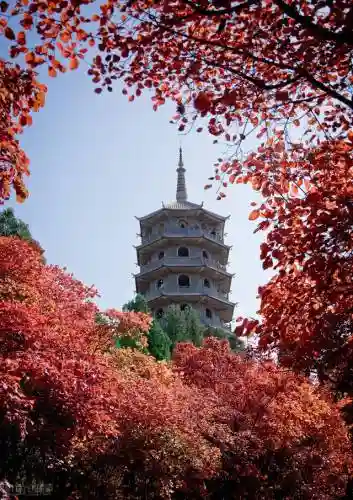 寒霜圣地 阵容(圣斗士圣地争锋最强阵容)插图12