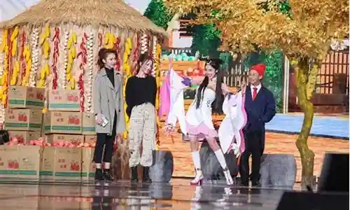 语言节目阵容搭配图表大全插图