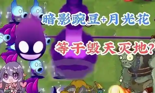 暗影植物阵容搭配图插图