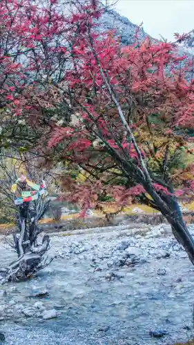 寒霜圣地 阵容(圣斗士圣地争锋最强阵容)插图22