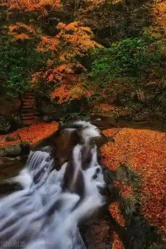 寒霜圣地 阵容(圣斗士圣地争锋最强阵容)插图14