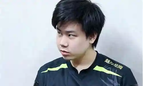 小学弟最佳阵容搭配插图