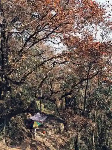 寒霜圣地 阵容(圣斗士圣地争锋最强阵容)插图17