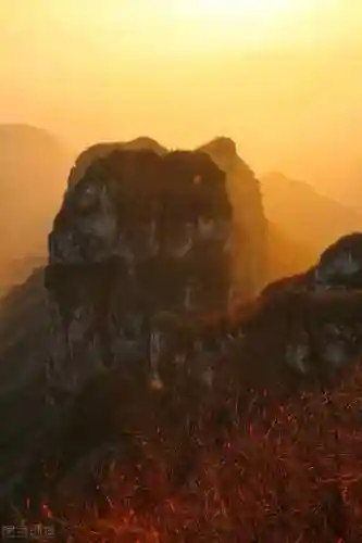 寒霜圣地 阵容(圣斗士圣地争锋最强阵容)插图13