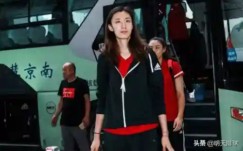 女排南京阵容(江苏女排全锦赛名单)插图3