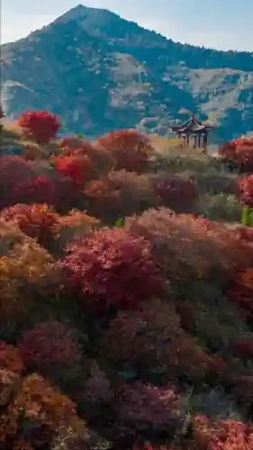 寒霜圣地 阵容(圣斗士圣地争锋最强阵容)插图11