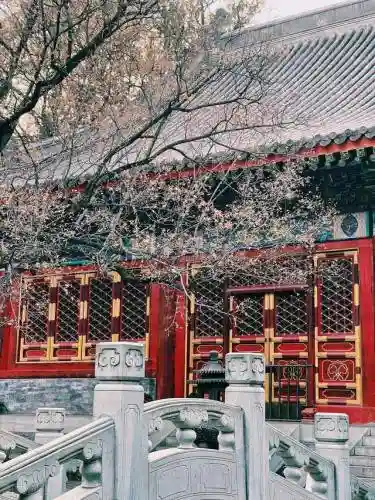 寒霜圣地 阵容(圣斗士圣地争锋最强阵容)插图2