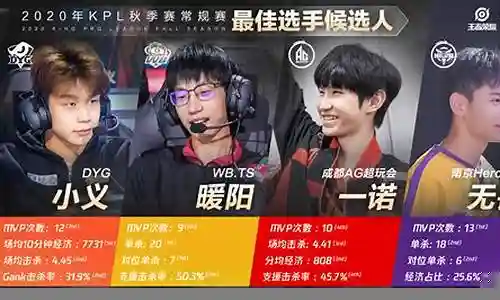 王者职业选手阵容搭配插图