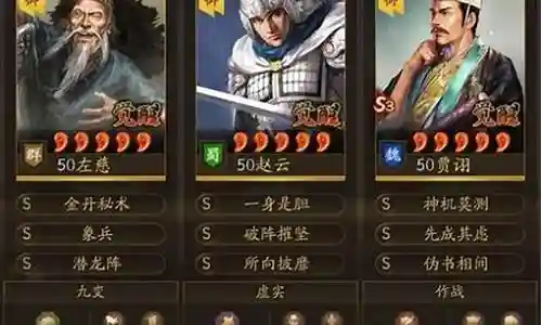 贾诩阵容搭配培养顺序插图