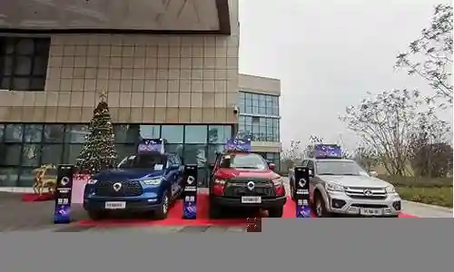 皮卡之王阵容推荐搭配图插图