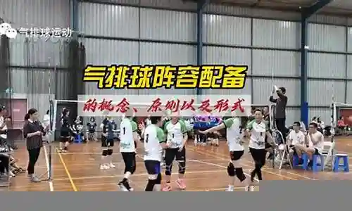 排球阵容配备名词解释插图