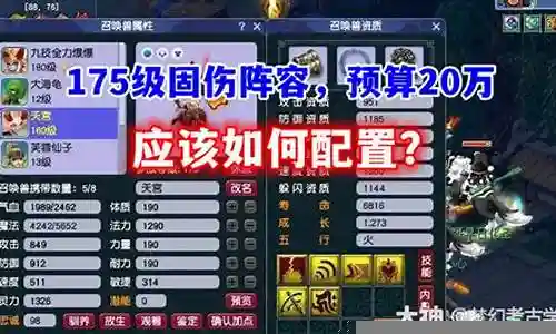 固伤阵容怎么搭配最强插图