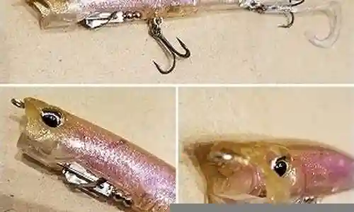 75ss武器中插图