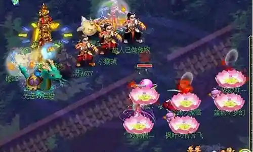 梦幻西游5开普陀法宝带什么插图
