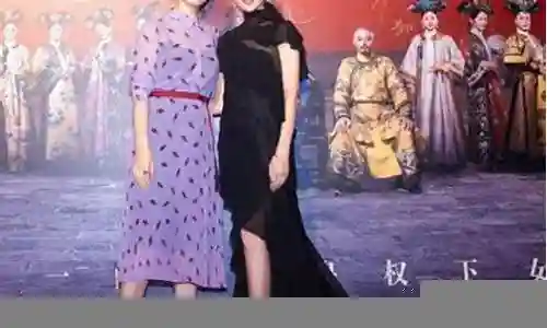 如懿身后阵容插图