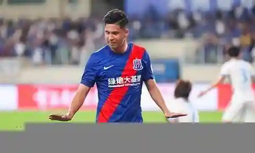 申花全国脚阵容插图