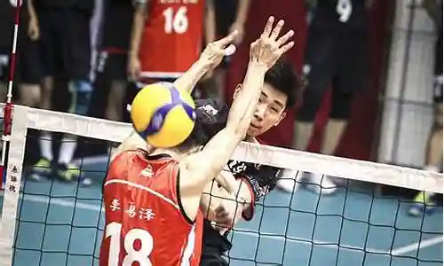 北京男排阵容名单插图