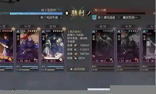 率土之滨小魏骑阵容插图