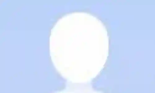 5只鸩阵容插图