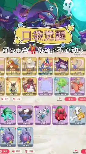 口袋召唤阵容插图
